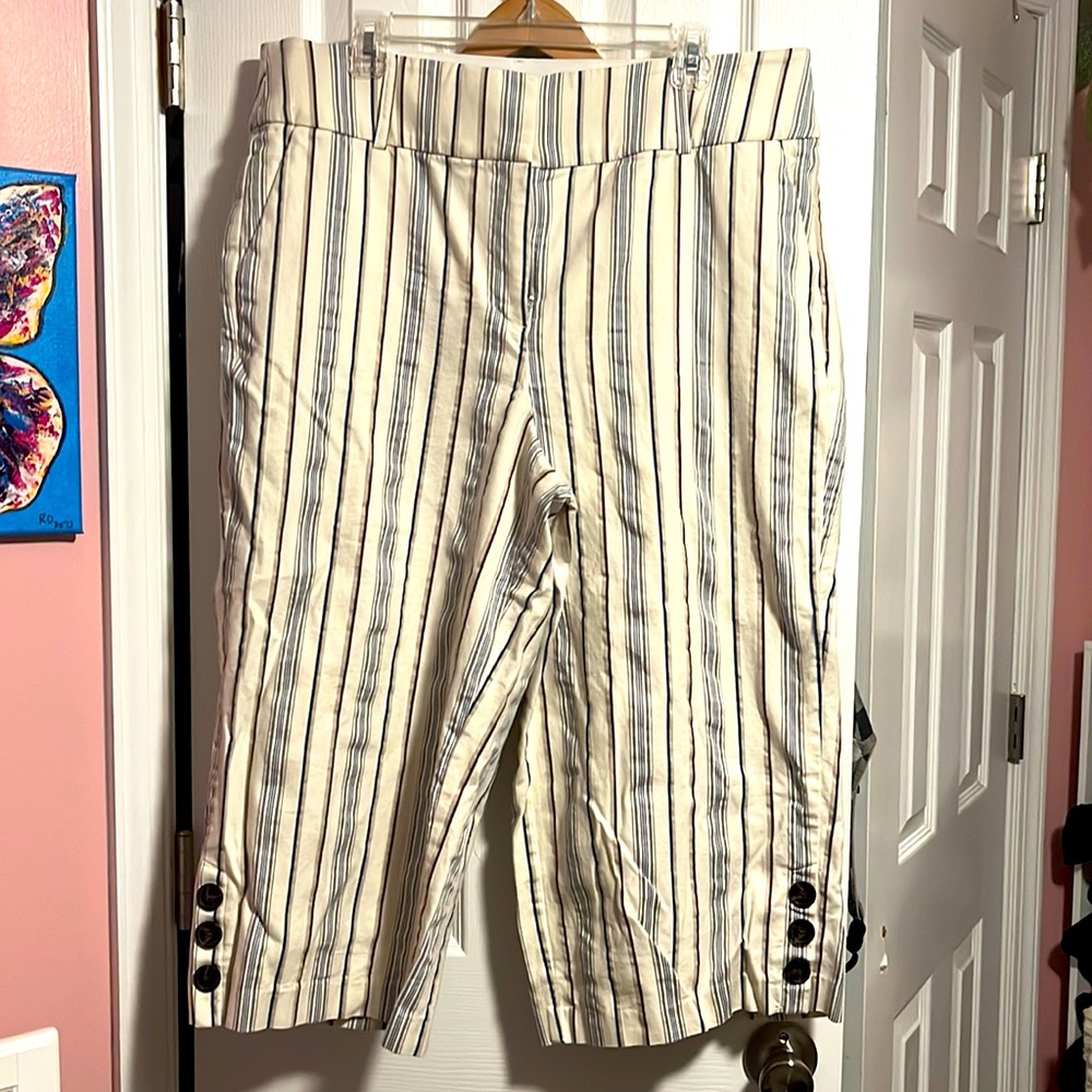 Lane Bryant Wide-Legged cropped Laney Pant.  Size 16, brown, blue, and grey.